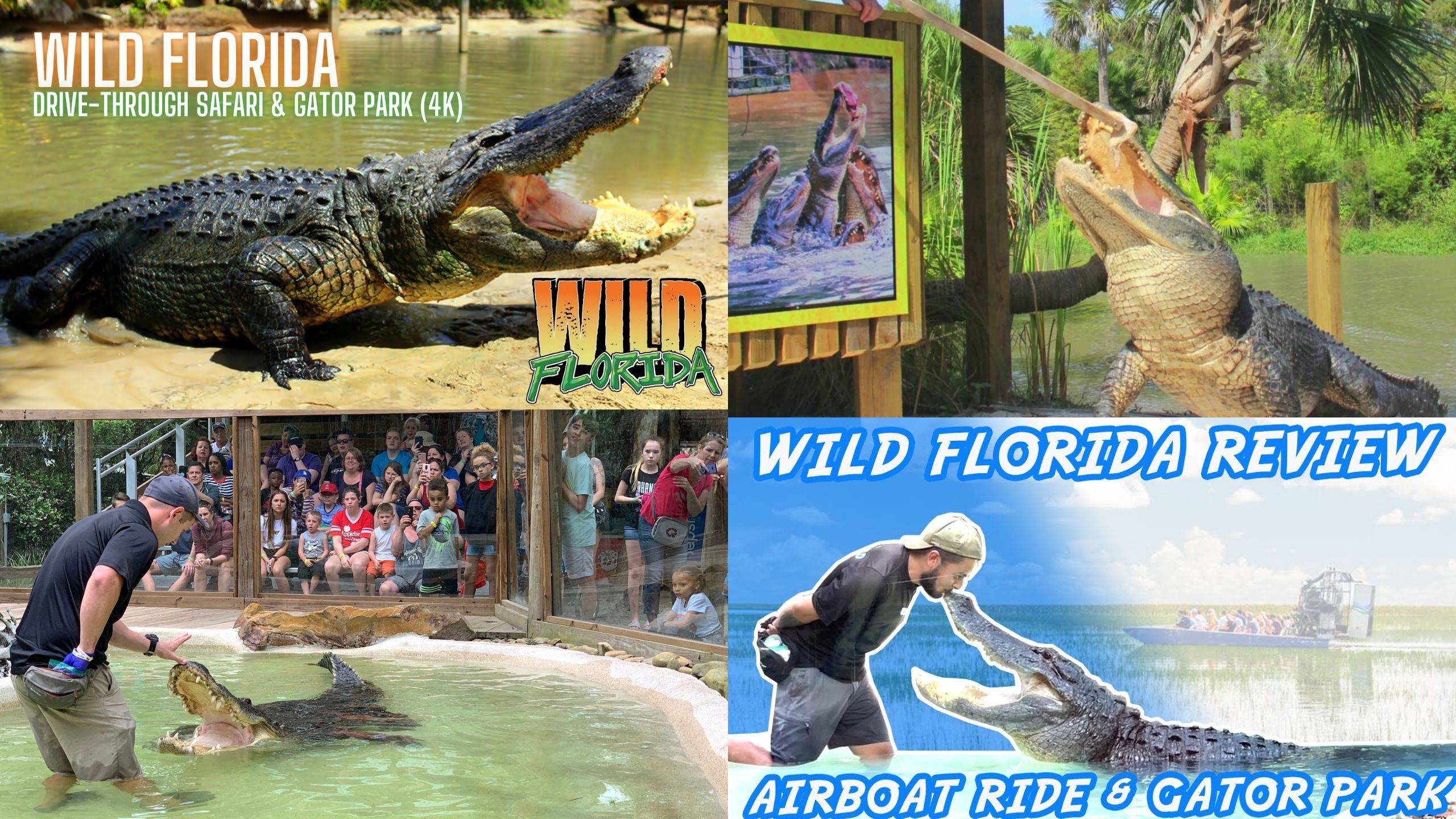 Wild Florida Drive-Thru Safari and Gator Park Admission
